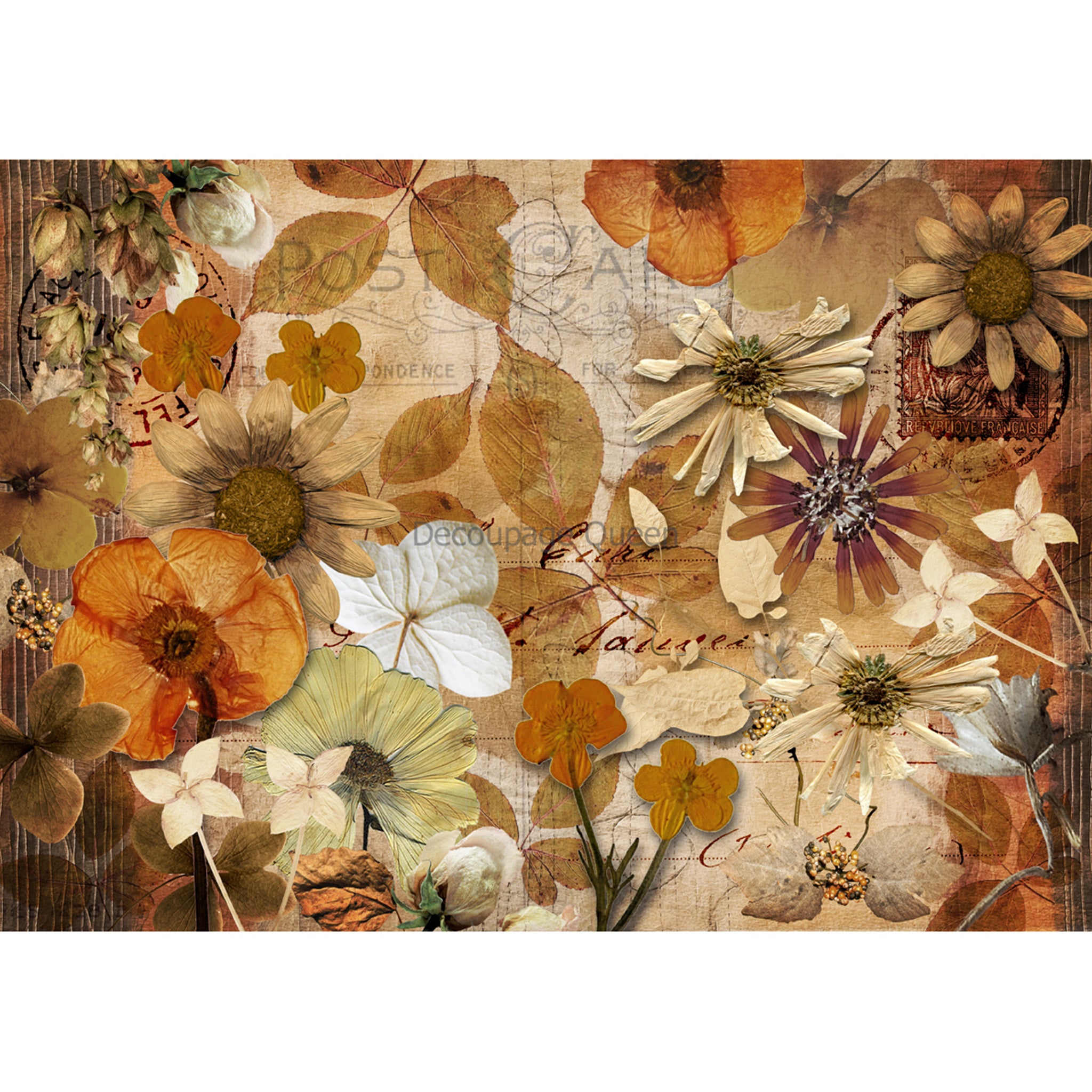 Rice paper featuring a sepia toned design of dried and pressed flowers on top of vintage documents. White borders are on the top and bottom.