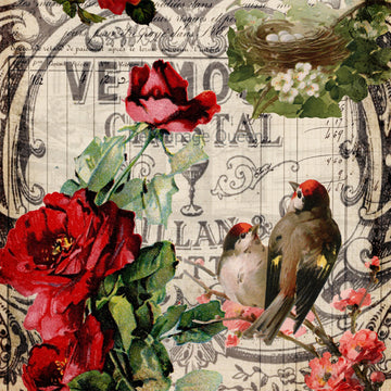 Close-up of a rice paper design that features a vintage document with lovely birds and sophisticated red roses.