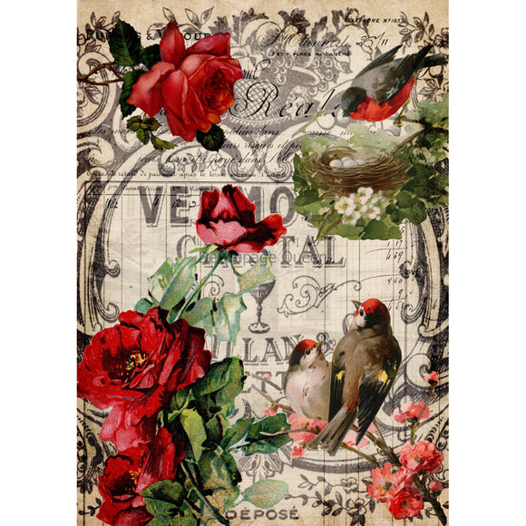 Rice paper design that features a vintage document with lovely birds and sophisticated red roses. White borders are on the sides.