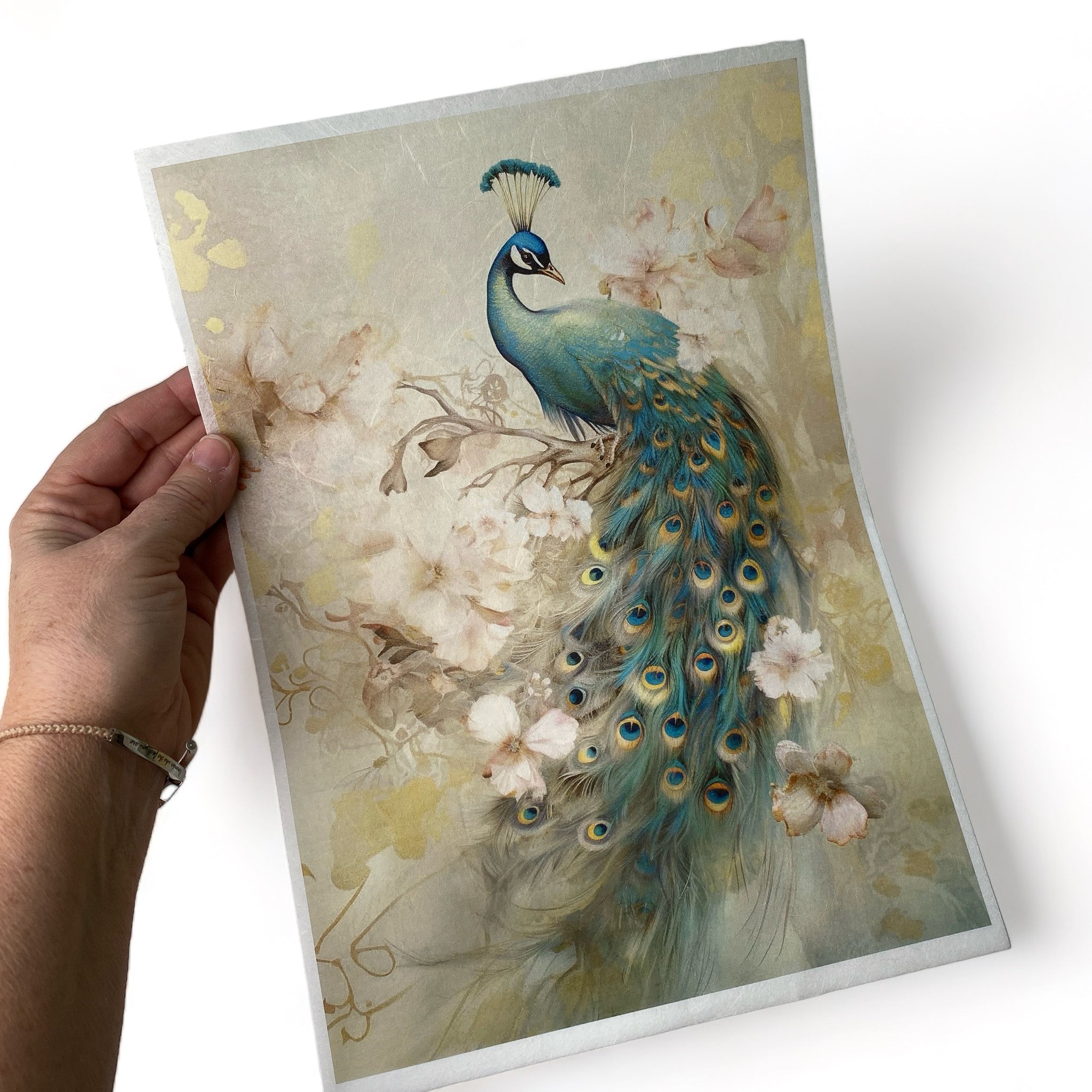A hand holding and lifting Decoupage Queen's Dreamscape Peacock A4 Plus rice sheet is against a white background.