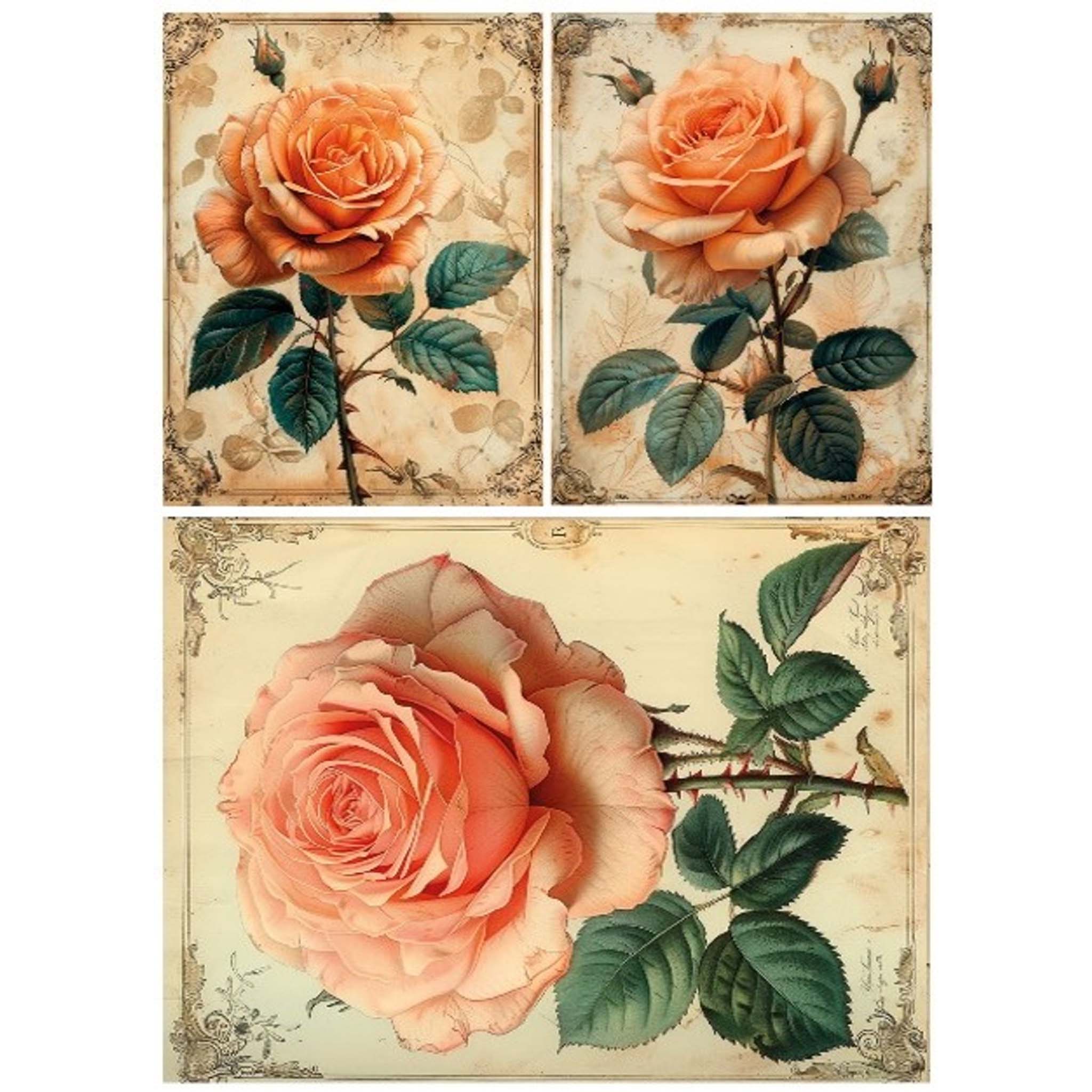 A4 rice paper that features 3 designs of large vintage single pink roses on stems against a white background. 