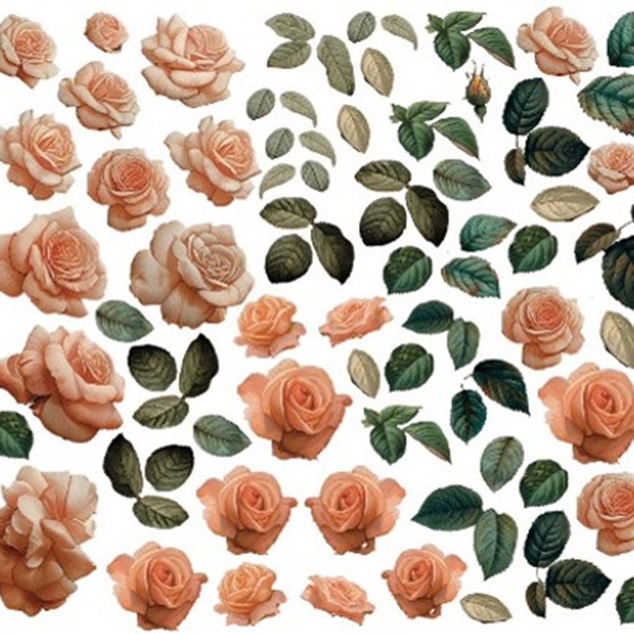 Close-up of an A4 Plus rice paper design that featuring individual rose blooms of varying sizes and leaves