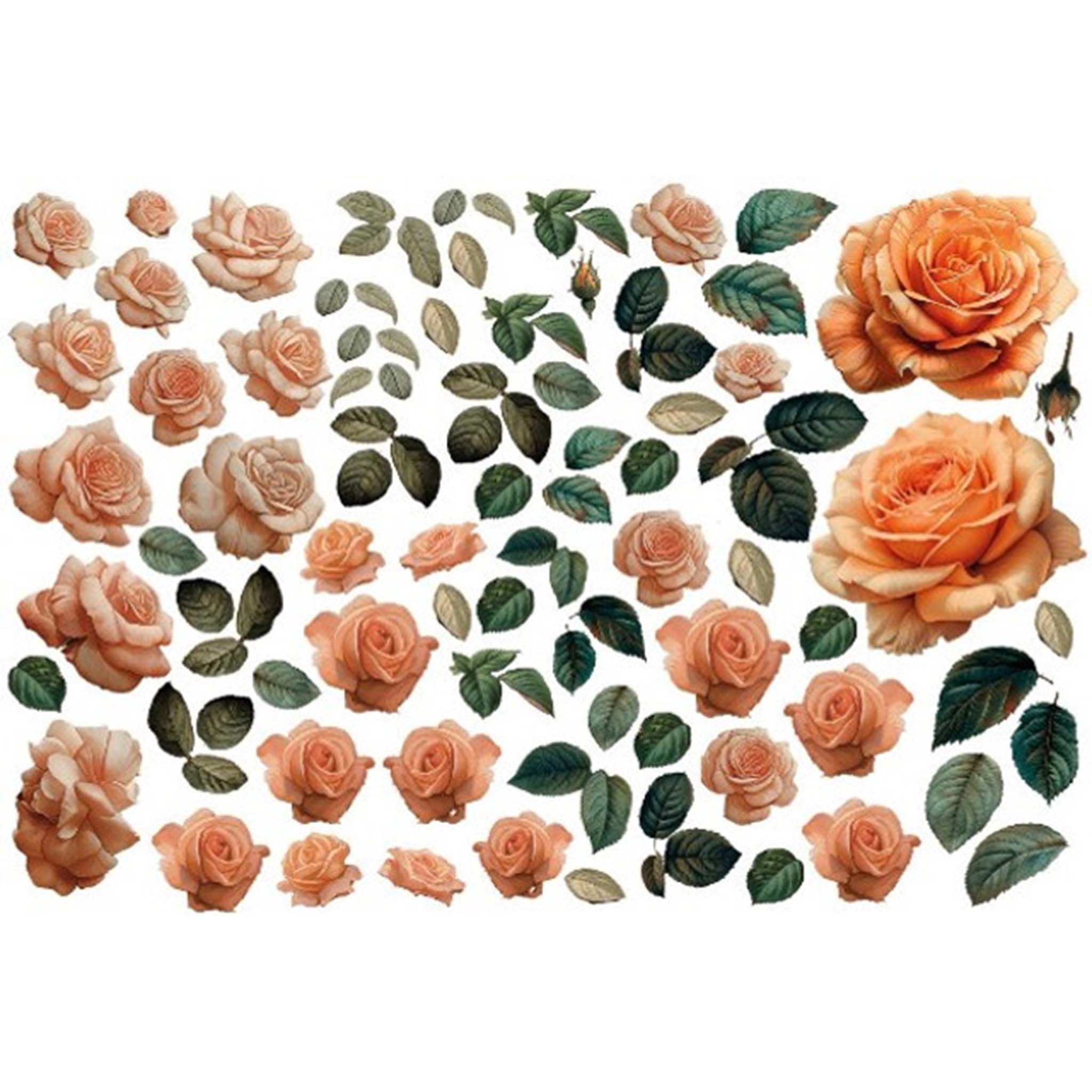 A4 Plus rice paper design that featuring individual rose blooms of varying sizes and leaves against a white background.