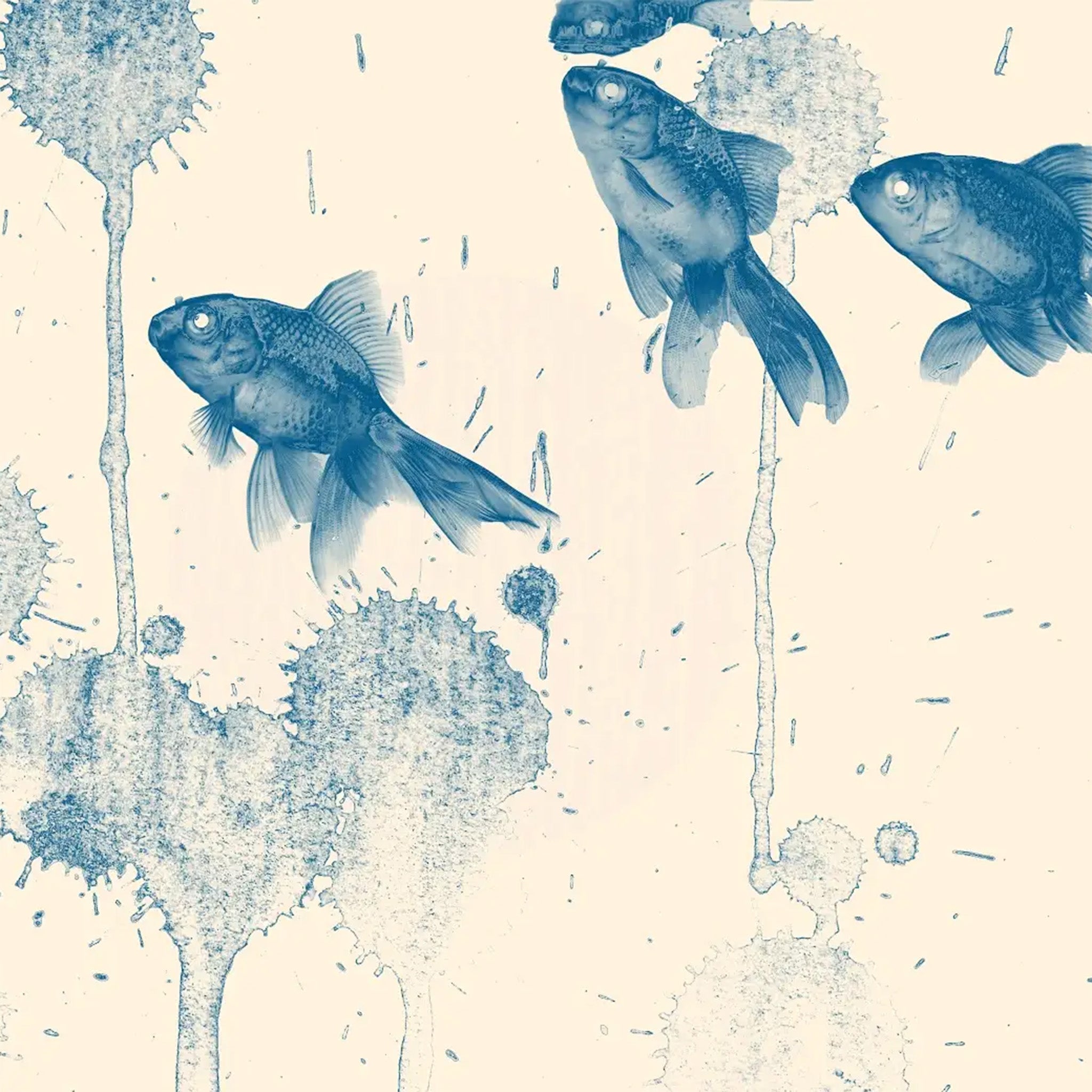 Close-up of a decoupage paper that features a negative colored image of playful goldfish swimming against a cream color background. 