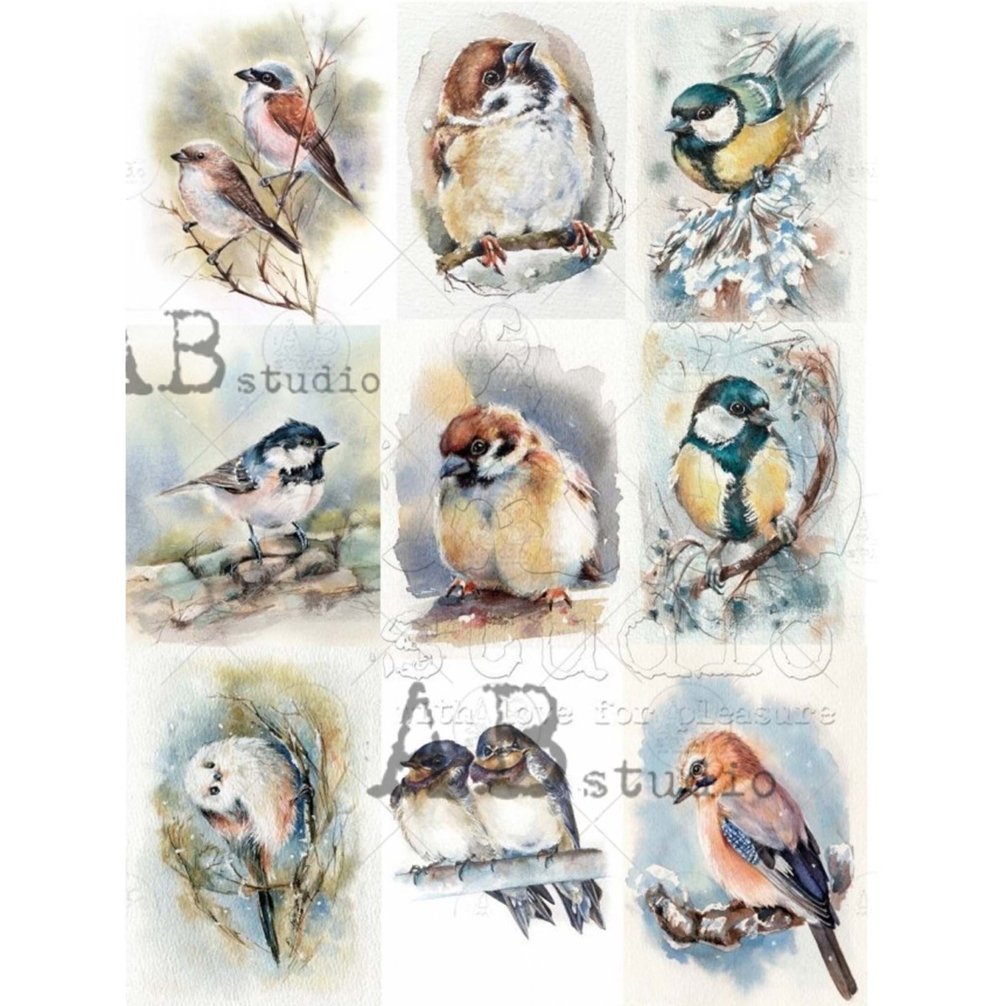 A4 rice paper design of  9 vibrant watercolor bird images against a white background.