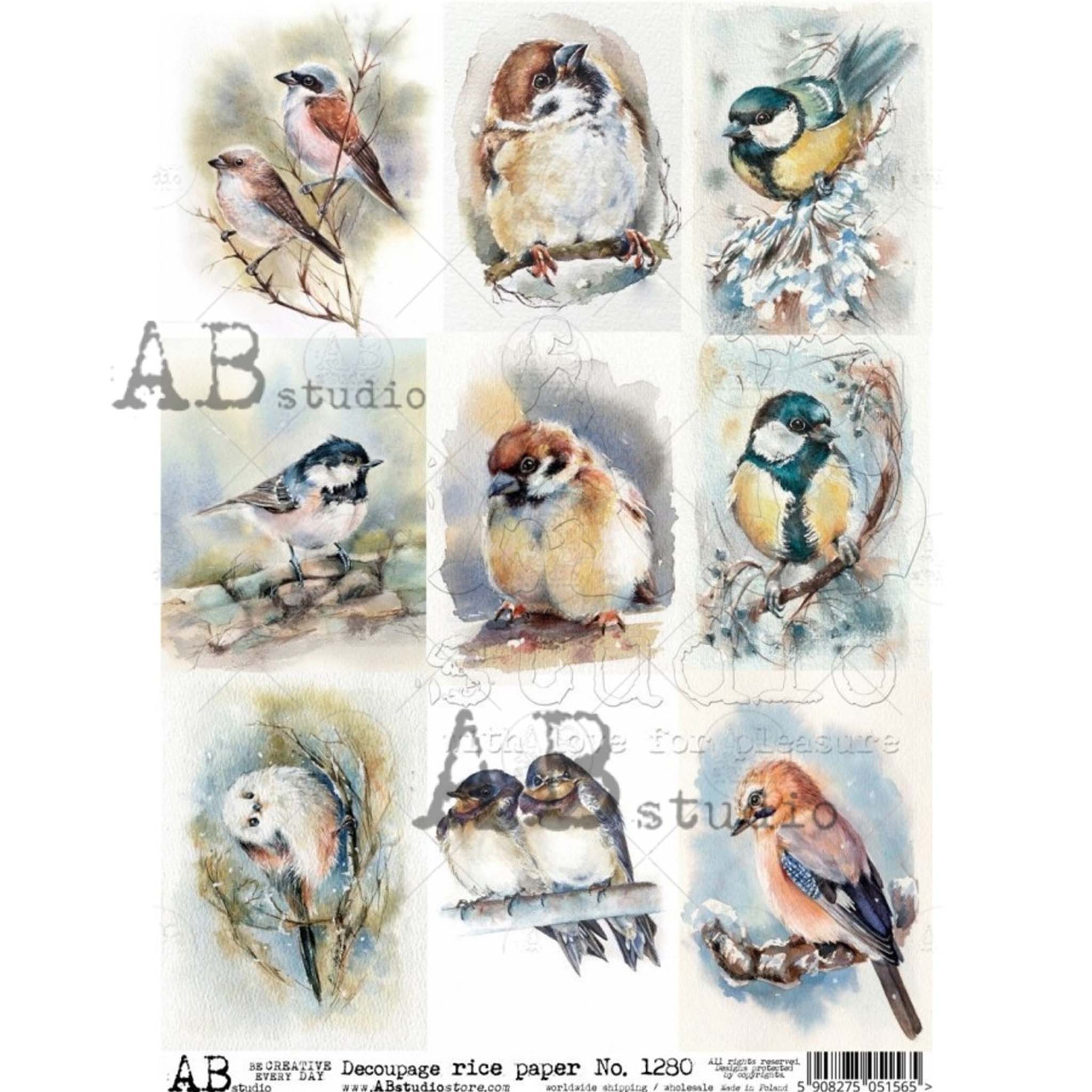A4 rice paper design of 9 vibrant watercolor bird images against a white background.