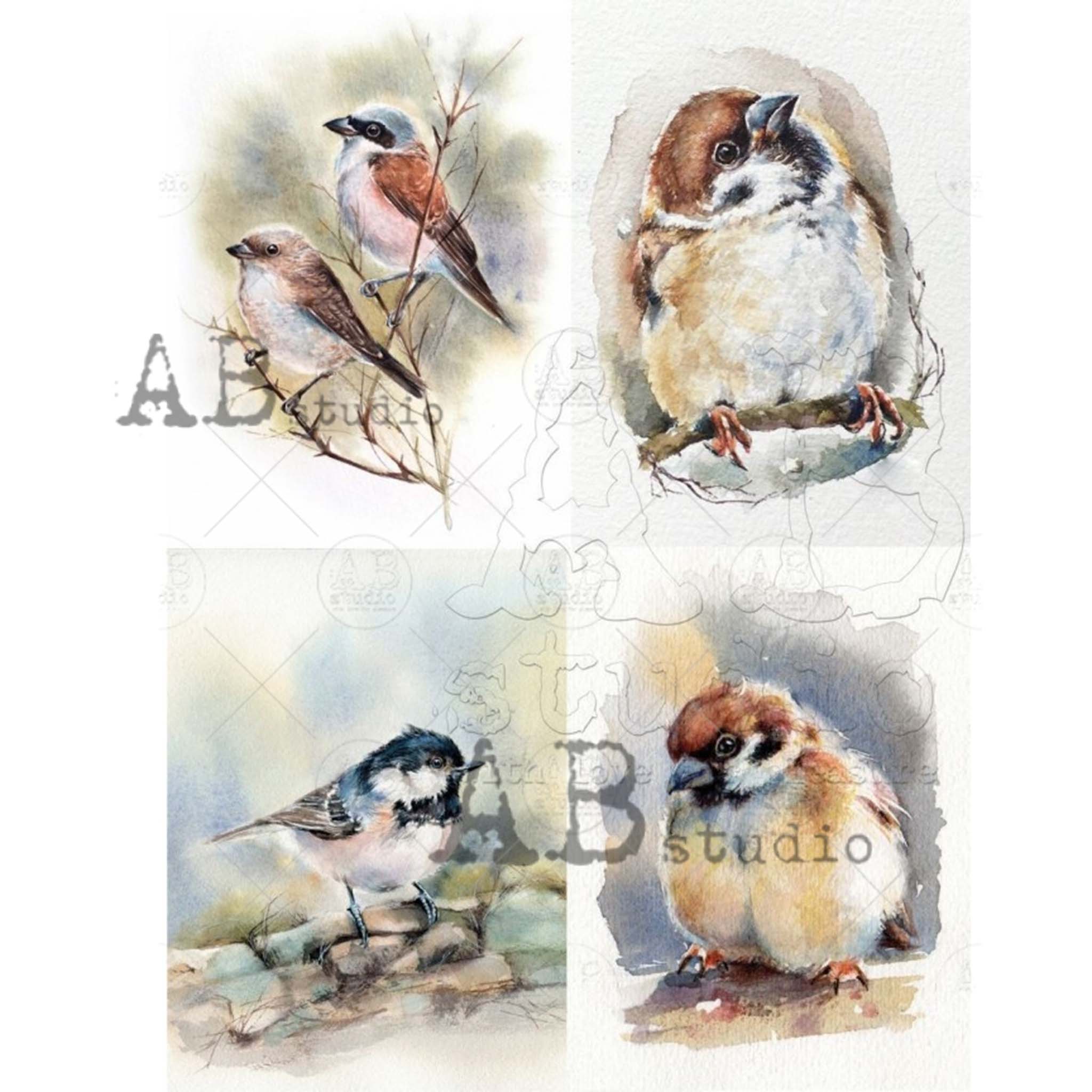 Watercolor Birds (4 Pack) A4 Rice Decoupage Paper