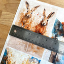 A close-up of Decoupage Queen's Four Abundance Scenes A4 rice paper shows a silver ruler over one of the designs showing a measurement of 4 inches across.