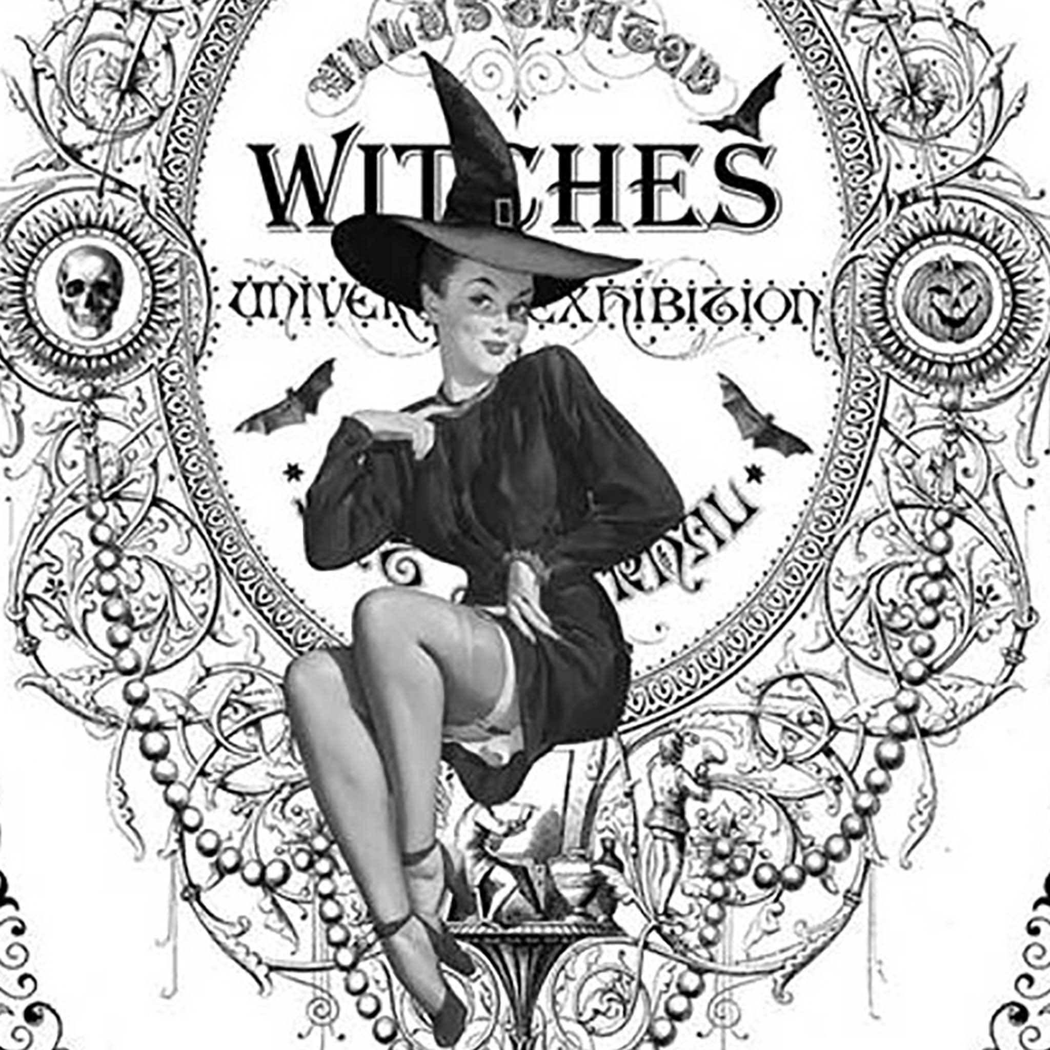 Close-up of an A3 rice paper design that features ornate corners with bats and spiders and a vintage style pinup witch sitting in a spooky ornate frame with the word "witches" behind her.