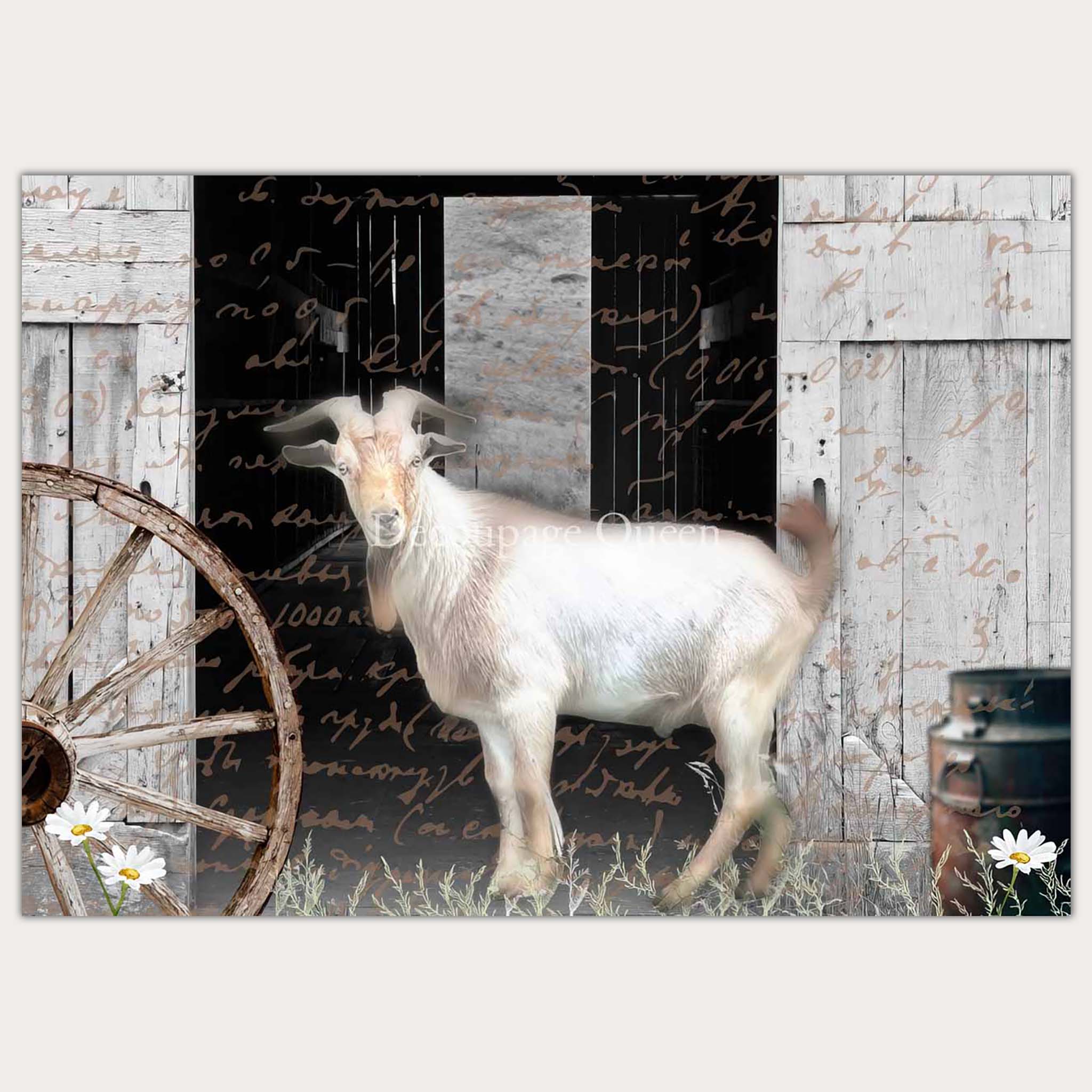 A3 rice paper design that features a Billy goat standing in front of an open barn door. Scribbled script writing is throughout the design. The paper sits on a white background.