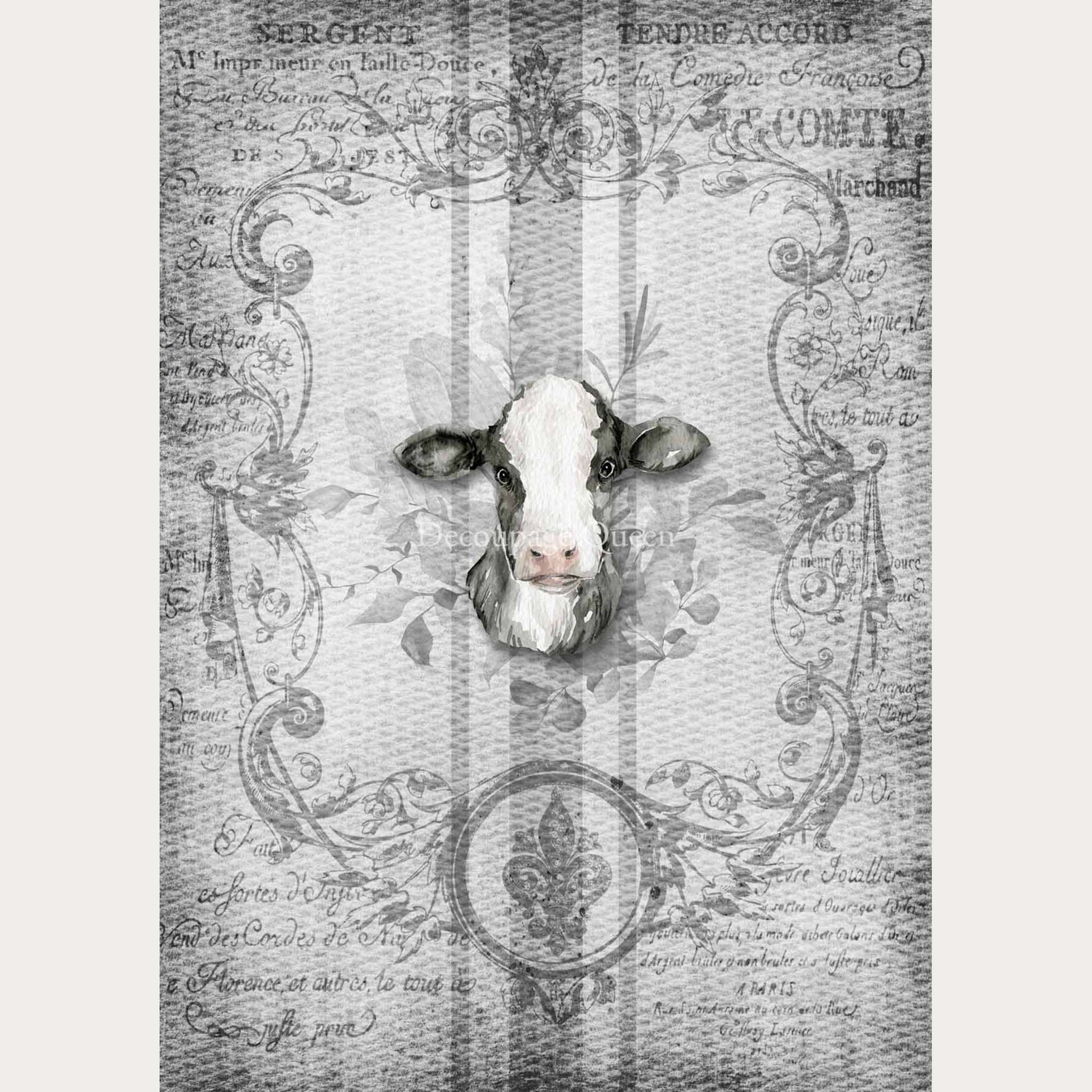 A2 rice paper designs of faded French writing with a cow head on a grey grain sack pattern. White borders are on the sides.