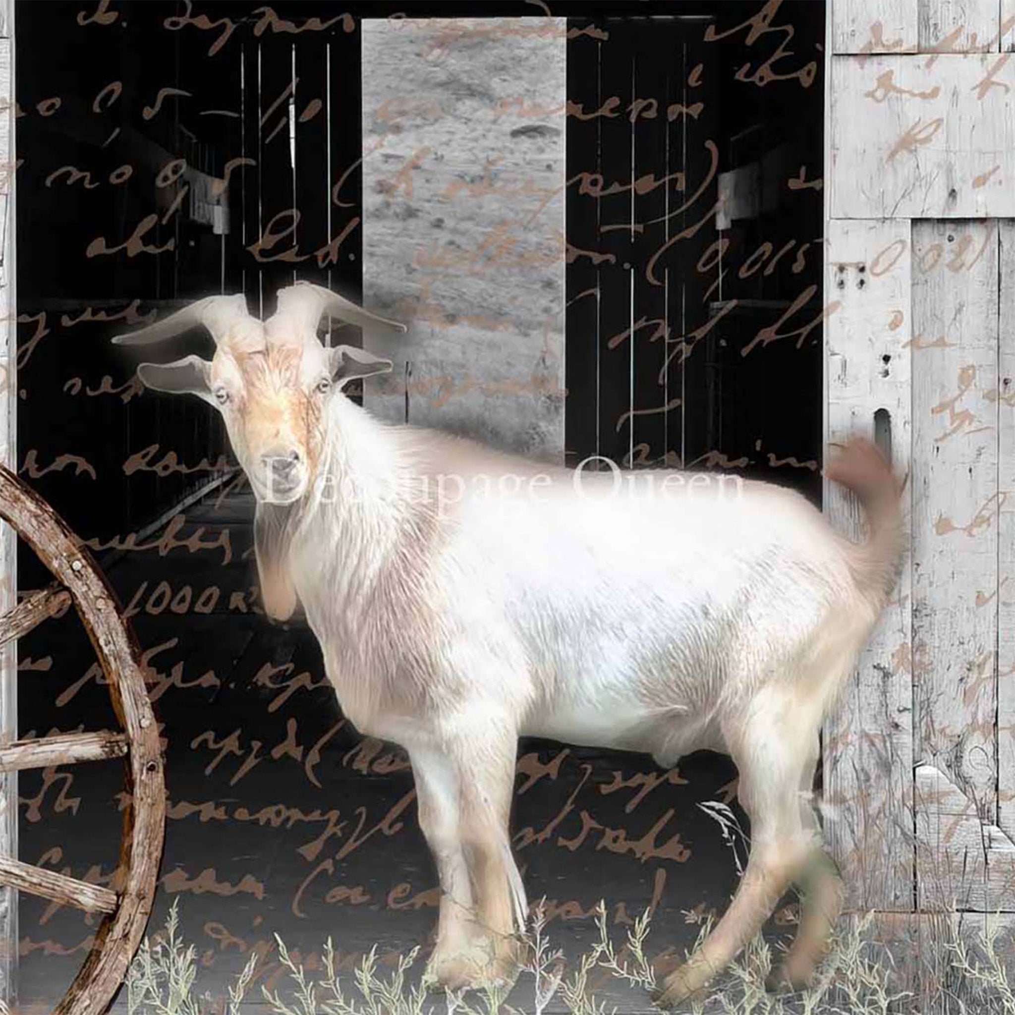 Close-up of a rice paper design that features a Billy goat standing in front of an open barn door. Scribbled script writing is throughout the design.