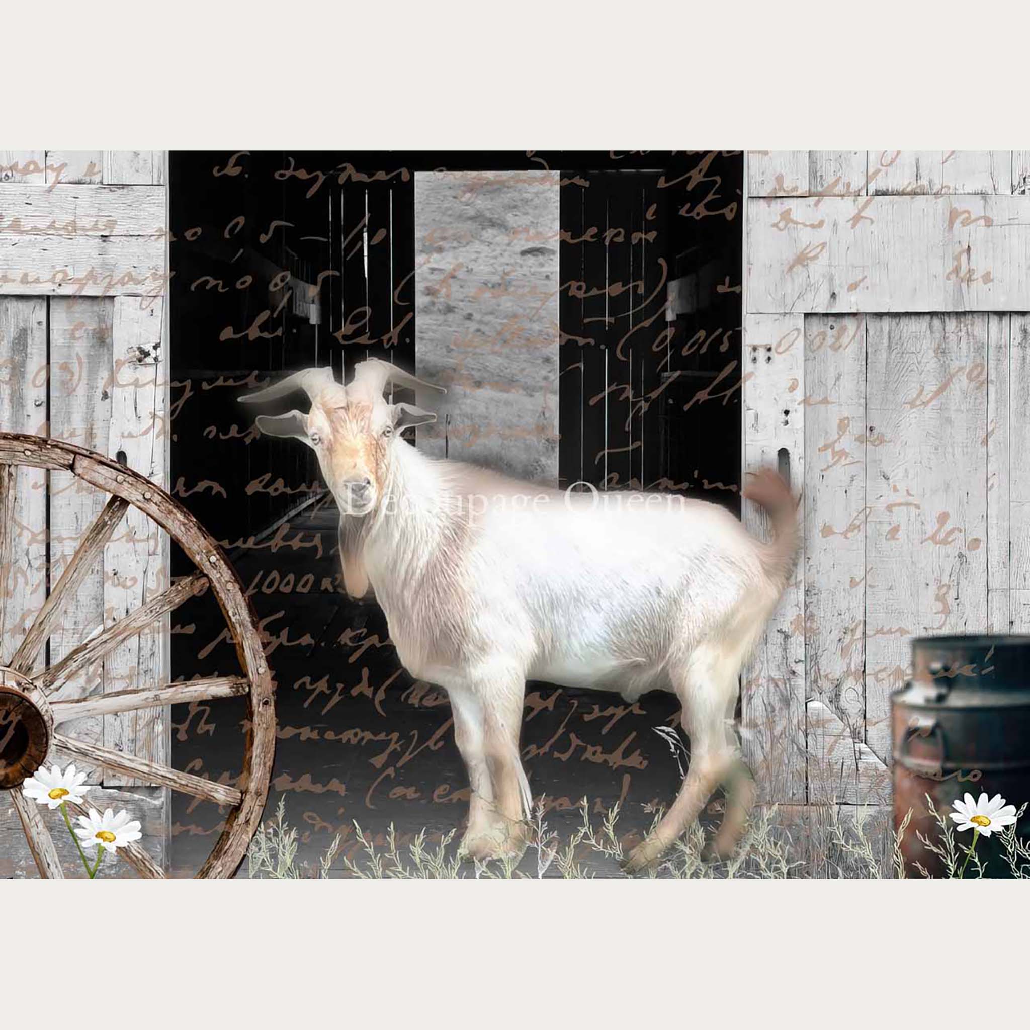 Rice paper design that features a Billy goat standing in front of an open barn door with scribbled script writing throughout the design. White borders are on the top and bottom.