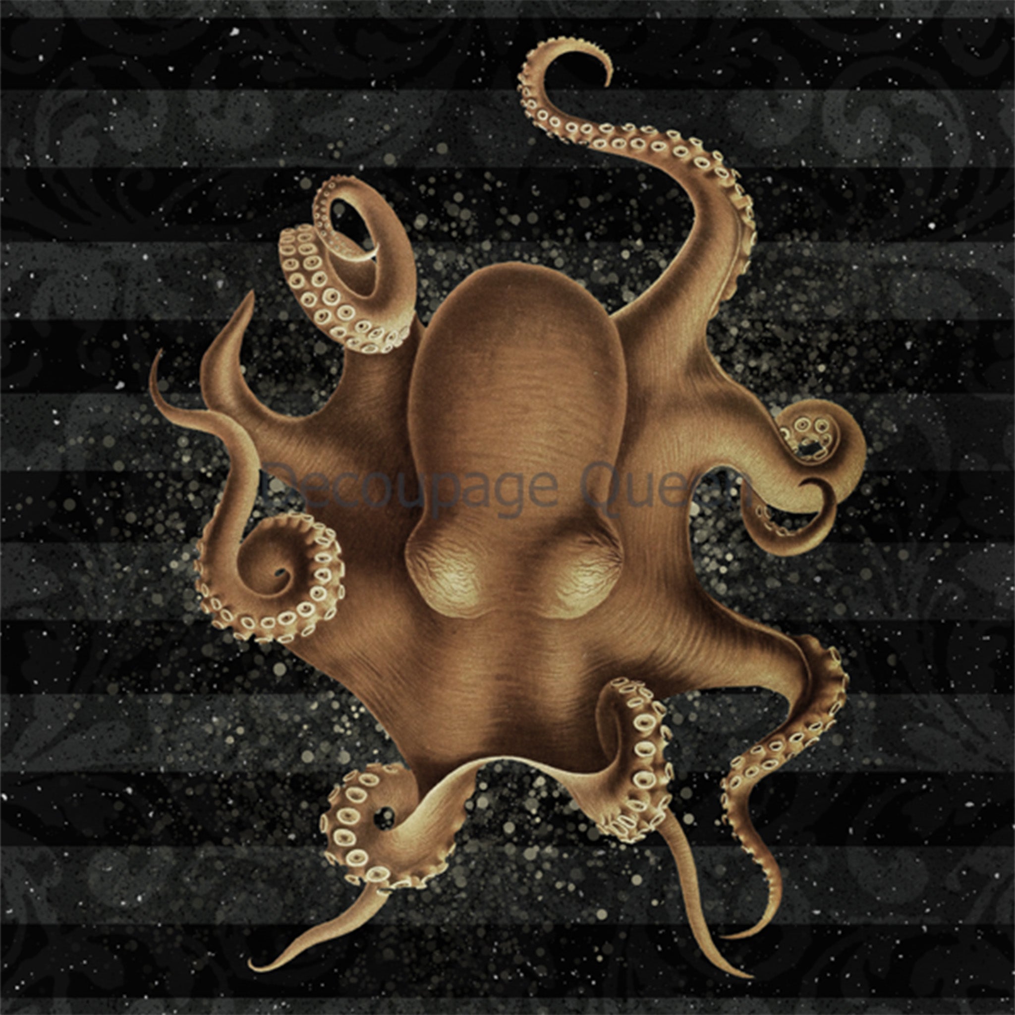 Close-up of a rice paper design featuring a black and gray striped background with a beige octopus in the center.