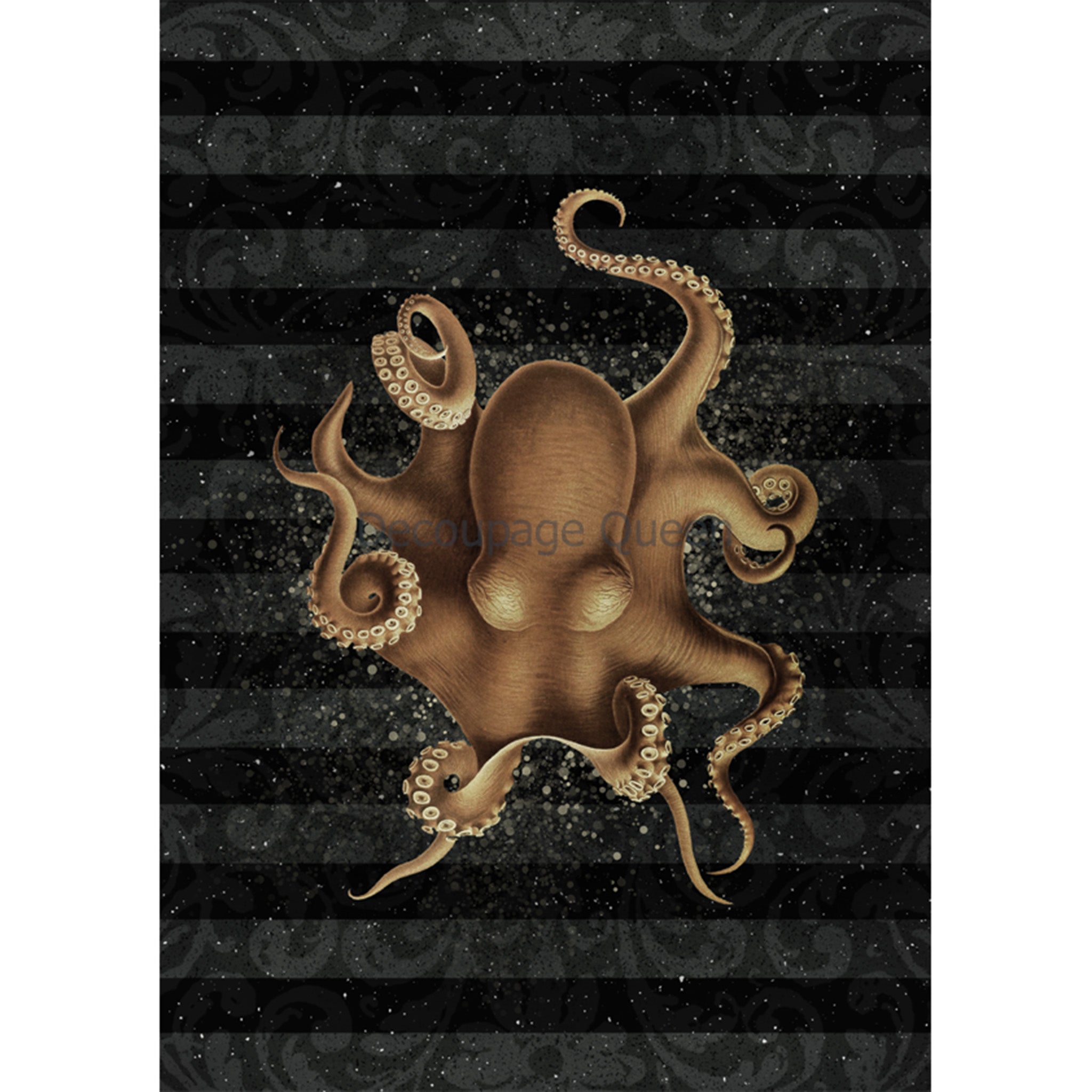 Rice paper design featuring a black and gray striped background with a beige octopus in the center. White borders are on the sides.