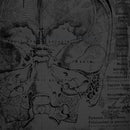 Close-up of a rice paper design featuring a moody background of a vintage textbook showing the inside of a skull. A spider and web are overlayed on the skull.