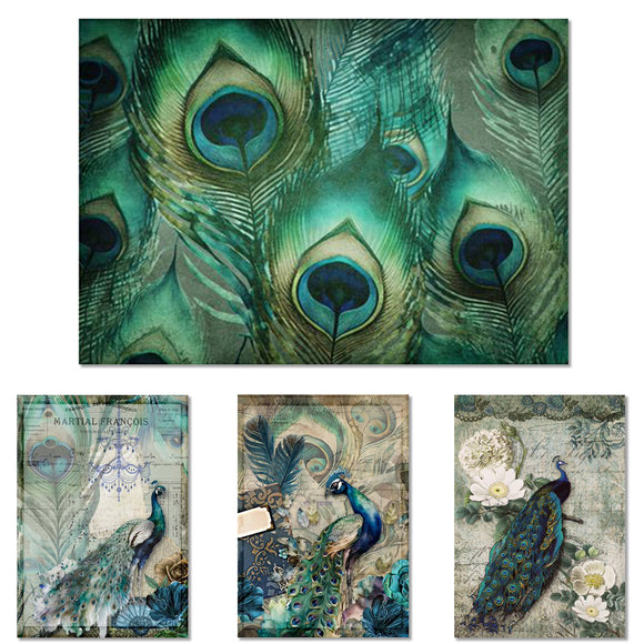 Rice paper featuring 4 designs of peacocks against vintage documents and bright peacock feathers is against a white background.