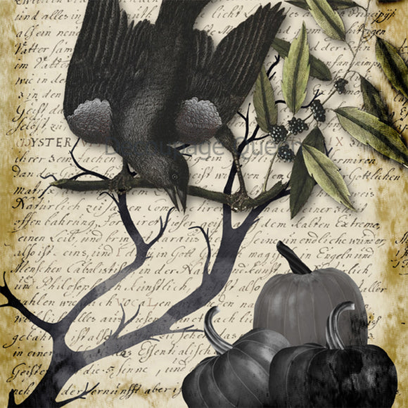 Close-up of a rice paper featuring a grey-scale scene of a black raven perched in a tree with pumpkins against an old yellowed document.