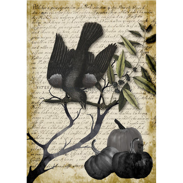 Rice paper featuring a grey-scale scene of a black raven perched in a tree with pumpkins against an old yellowed document.