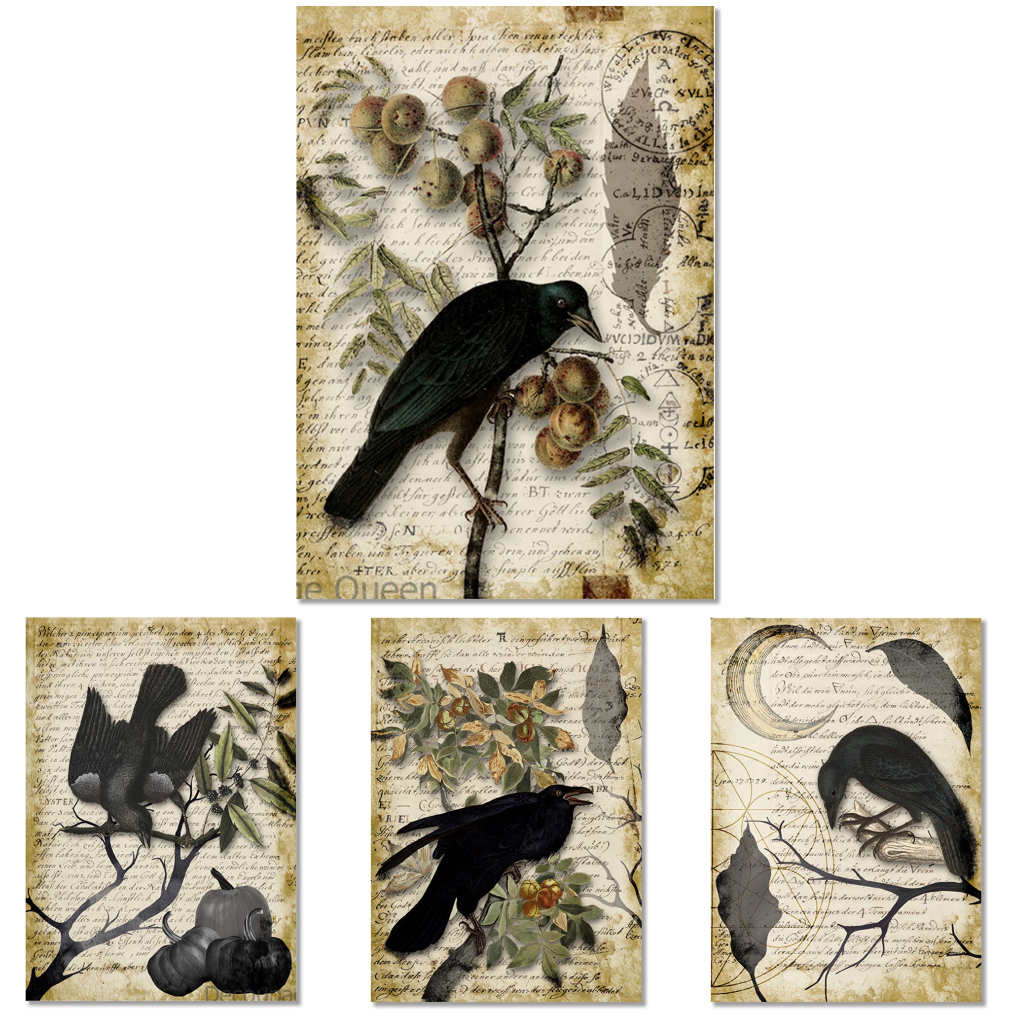 Rice papers against a white background feature 4 designs of ravens, birds, pumpkins, and a crescent moon each against their own vintage script note background. 