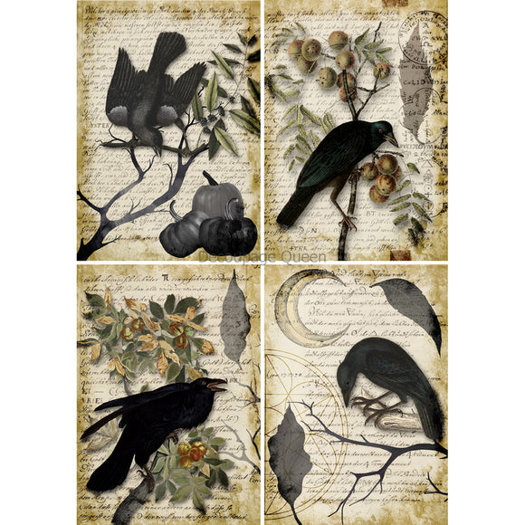Rice paper that features 4 designs of ravens, birds, pumpkins, and a crescent moon each against their own vintage script note background. White borders are on the sides.