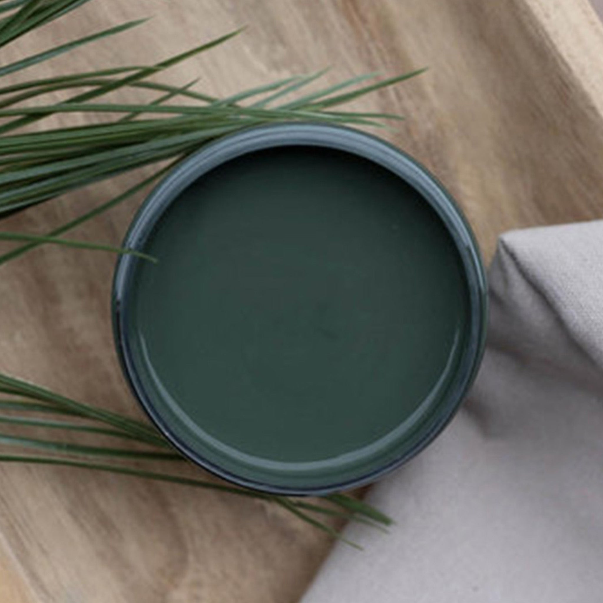 An arial view of an open container of Dixie Belle Paint Company's Acadia All-In-One Silk Paint is on a wood table with green foliage.