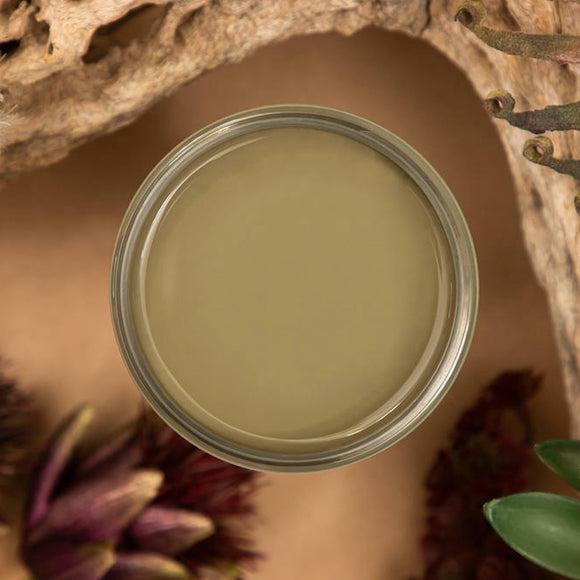 An arial view of an open container of Dixie Belle Paint Company's Cactus All-In-One Silk Paint is on a sand brown table with natural wood and purple artichoke.