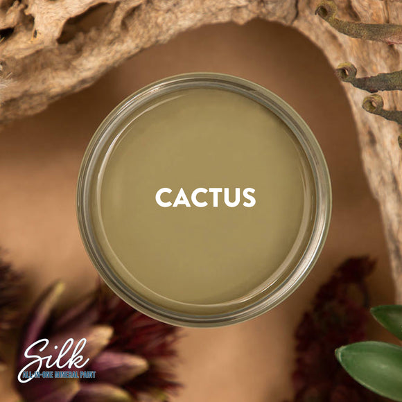 An arial view of an open container of Dixie Belle Paint Company's Cactus Silk All-In-One Mineral Paint is shown with white text reading Cactus .