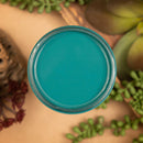 An arial view of an open container of Dixie Belle Paint Company's Anchor All-In-One Silk Paint is on a sand brown table with succulents.