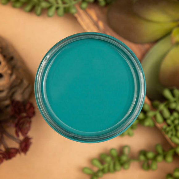 An arial view of an open container of Dixie Belle Paint Company's Anchor All-In-One Silk Paint is on a sand brown table with succulents.