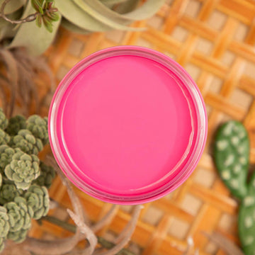 An arial view of an open container of Dixie Belle Paint Company's Prickly Pear All-In-One Silk Paint is on a lattice table with succulents.