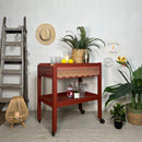 A vintage bar cart refurbished by Cherubs Chalks Interiors features Dixie Belle's Sequoia Silk All-In-One Mineral Paint.