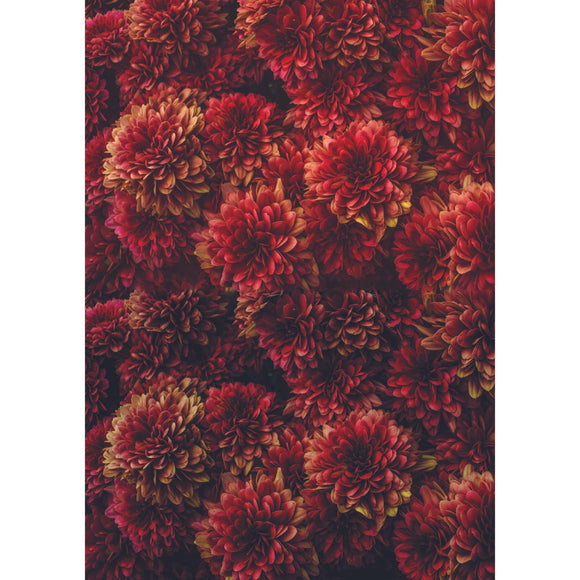 A1 rice paper that features burgundy mums covering the entire paper. White borders are on the sides.