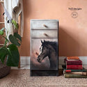 A tall dresser with 2 top drawers and a door underneath and refurbished by Faffdesigns is painted a blend of white down to black and features Belles & Whistles Majestic Horse A1 rice paper on the door.