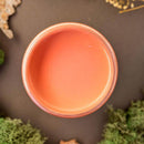 An arial view of an open container of Dixie Belle Paint Company's Cottage Door Chalk Mineral Paint is surrounded by green peat moss.