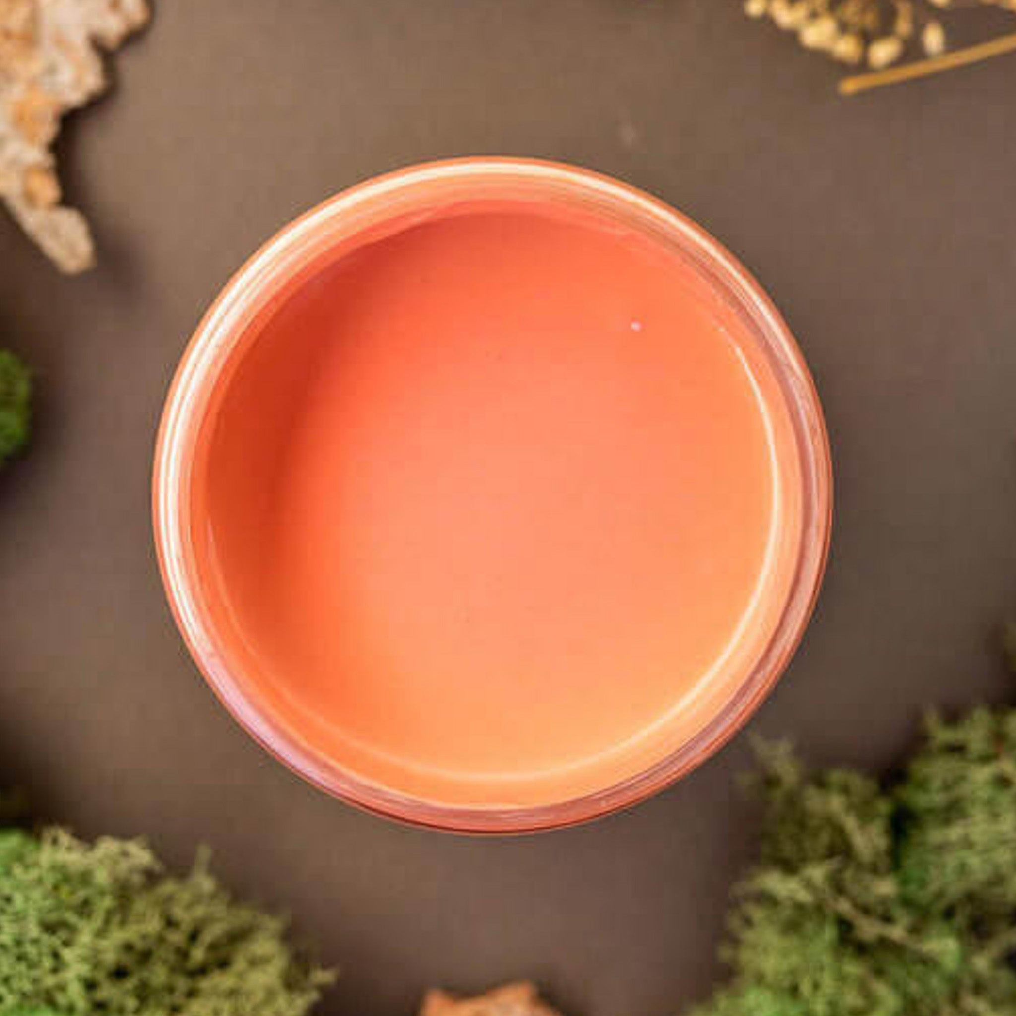 An arial view of an open container of Dixie Belle Paint Company's Cottage Door Chalk Mineral Paint is surrounded by green peat moss.