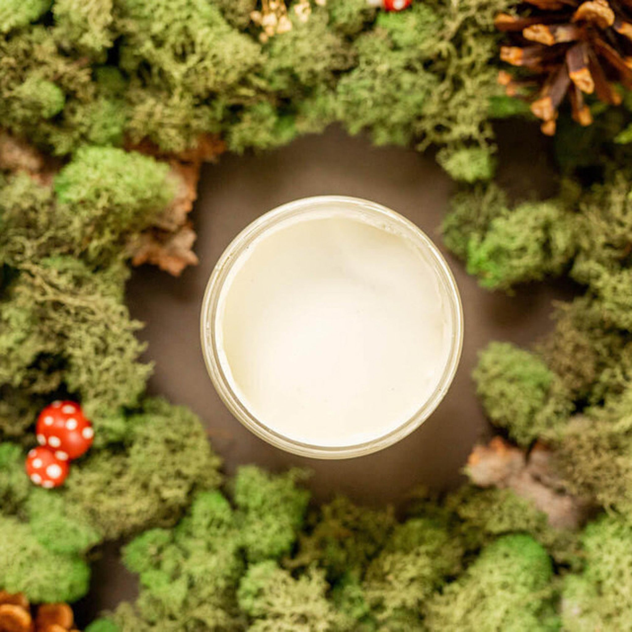 An arial view of an open container of Dixie Belle Paint Company’s Cucumber Ice Chalk Mineral Paint is surrounded by green peat moss.