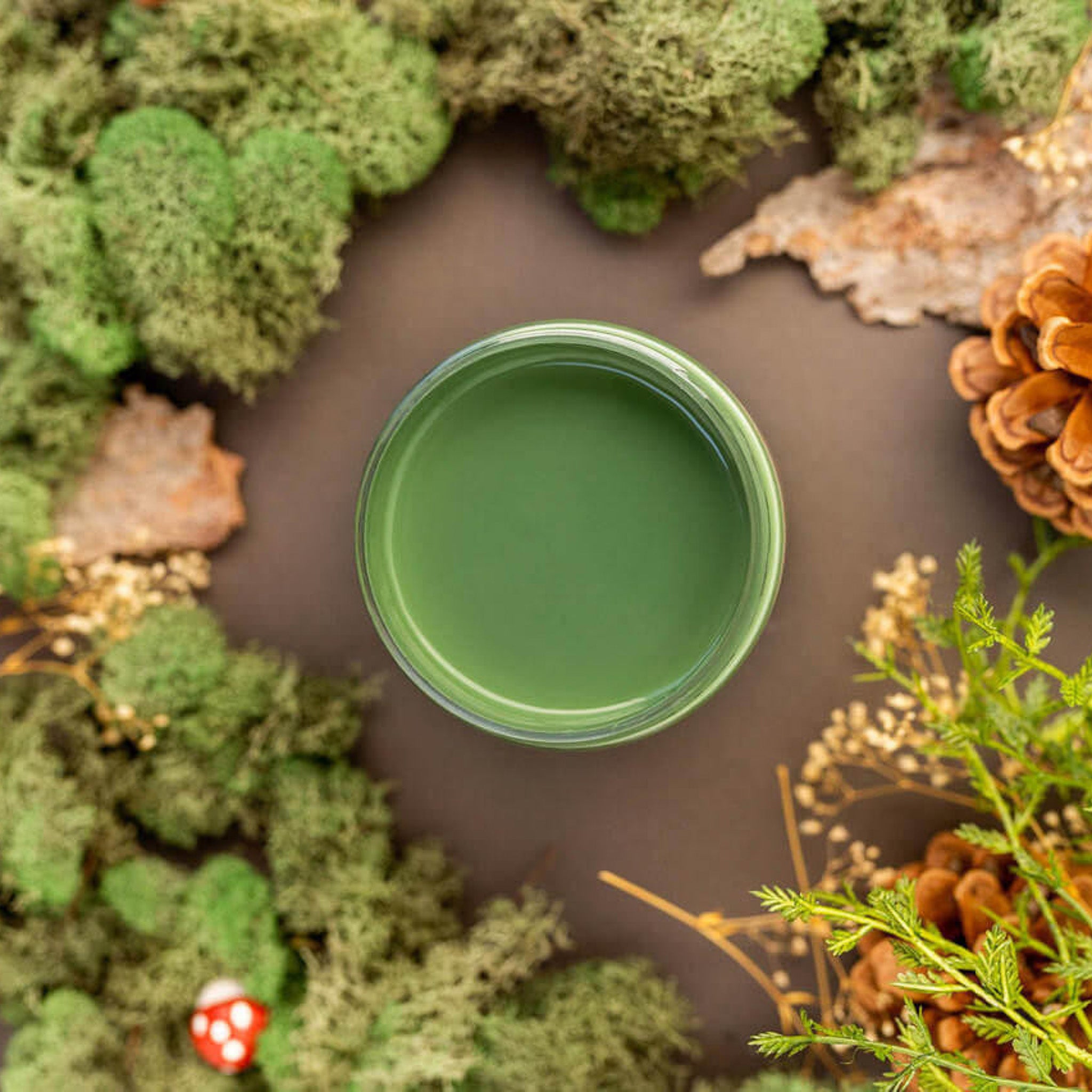 An arial view of an open container of Dixie Belle Paint Company’s English Ivy Chalk Mineral Paint is surrounded by green peat moss,