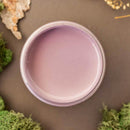 An arial view of an open container of Dixie Belle Paint Company’s Secret Path Chalk Mineral Paint is surrounded by green peat moss.