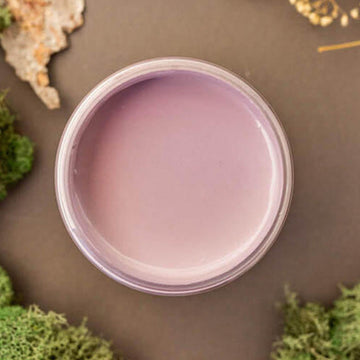 An arial view of an open container of Dixie Belle Paint Company’s Secret Path Chalk Mineral Paint is surrounded by green peat moss.