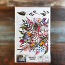 A package of Belles & Whistles' King Protea rub-on transfer is against a dark wood background.