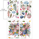 Four sheets of Belles and Whistles' King Protea furniture transfer are against a white background. Measurements for 1 sheet reads: 12" x 18.6".