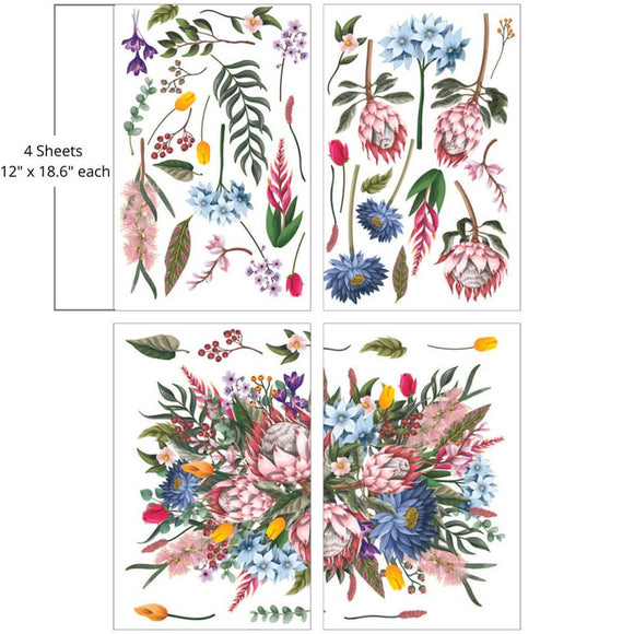 Four sheets of Belles and Whistles' King Protea furniture transfer are against a white background. Measurements for 1 sheet reads: 12" x 18.6".