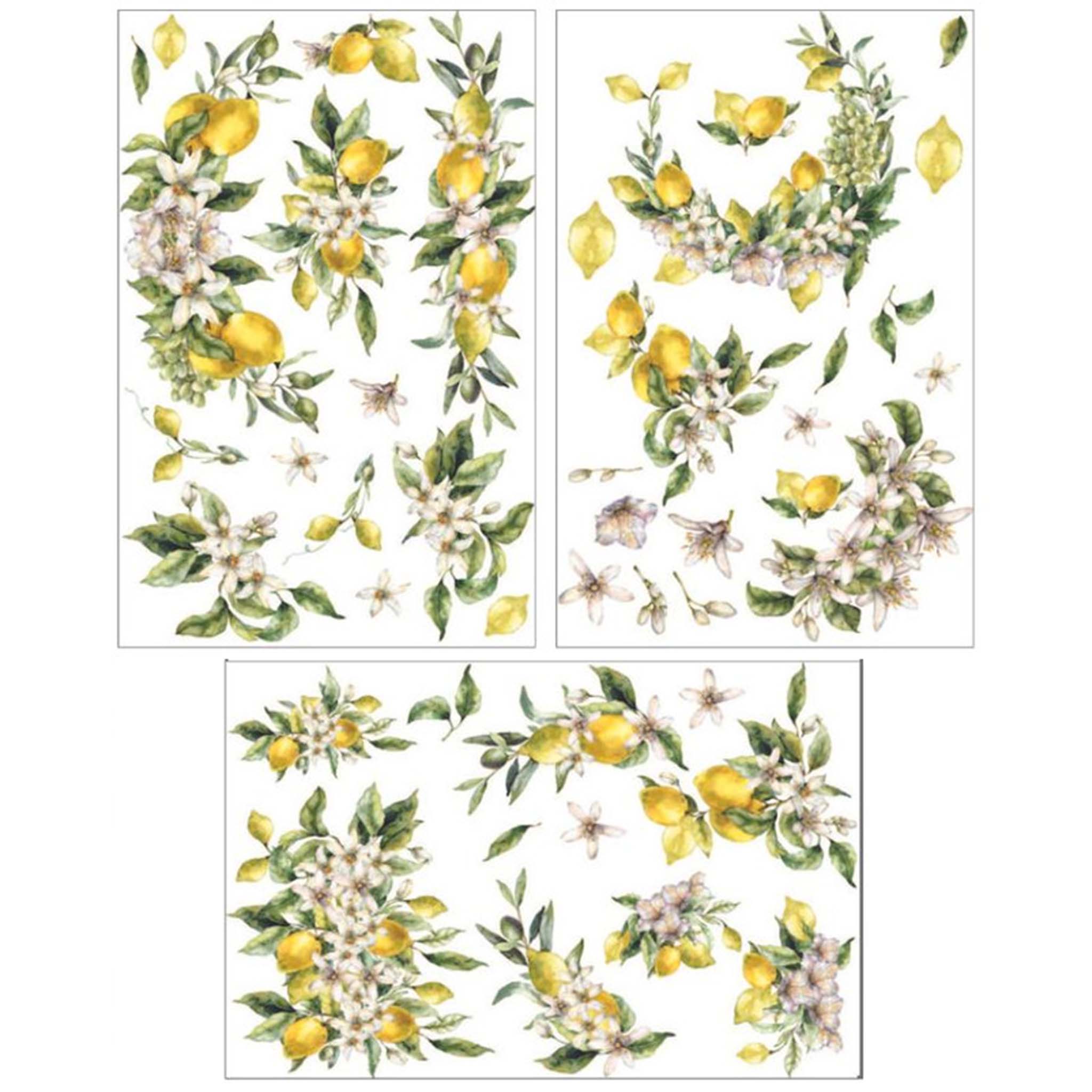 Three sheets of a small rub-on transfer are against a white background and feature lemons surrounded by clusters of flowers.
