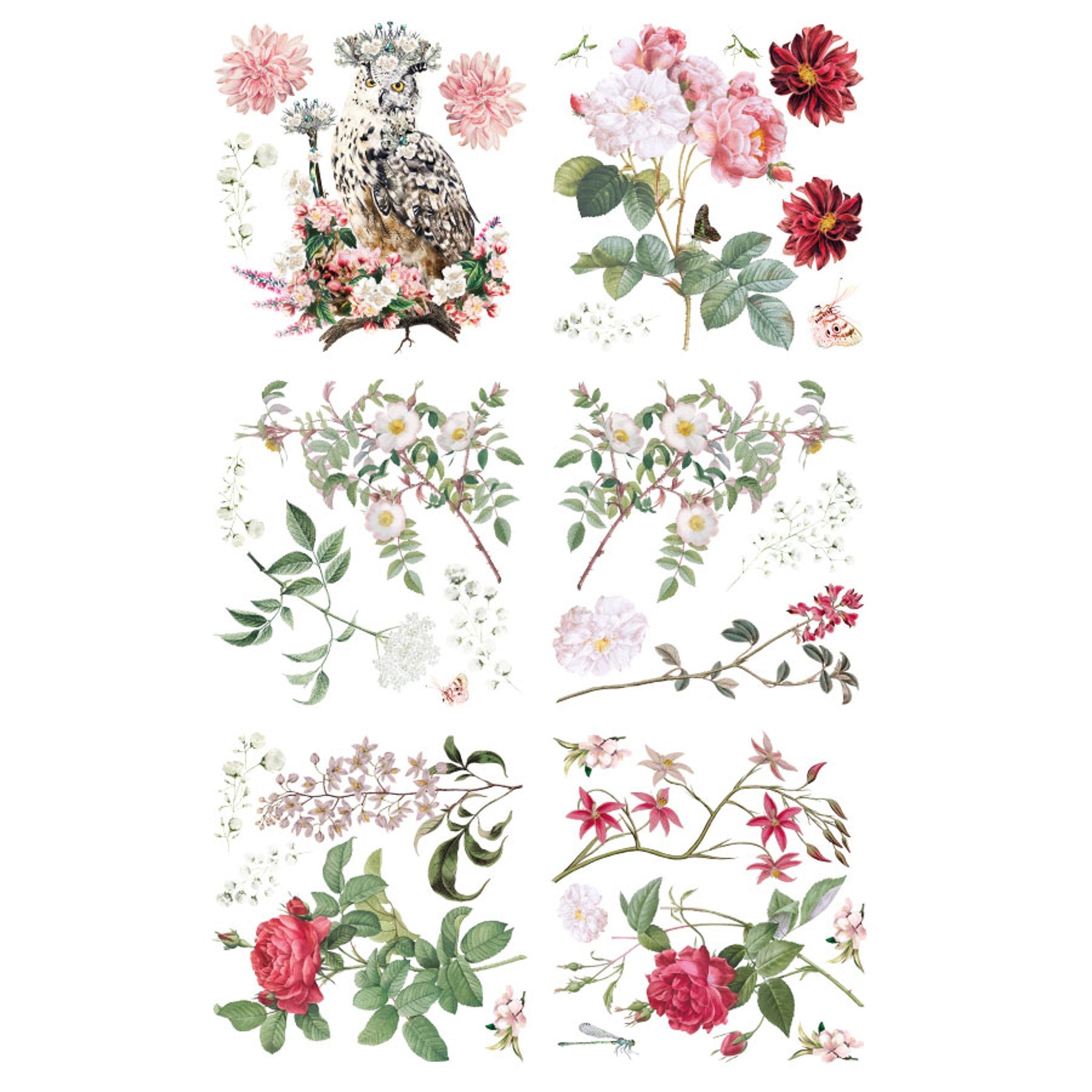 Rub-on transfer design that features 6 sheets of roses, small white flowers, and an owl queen are on a white background.