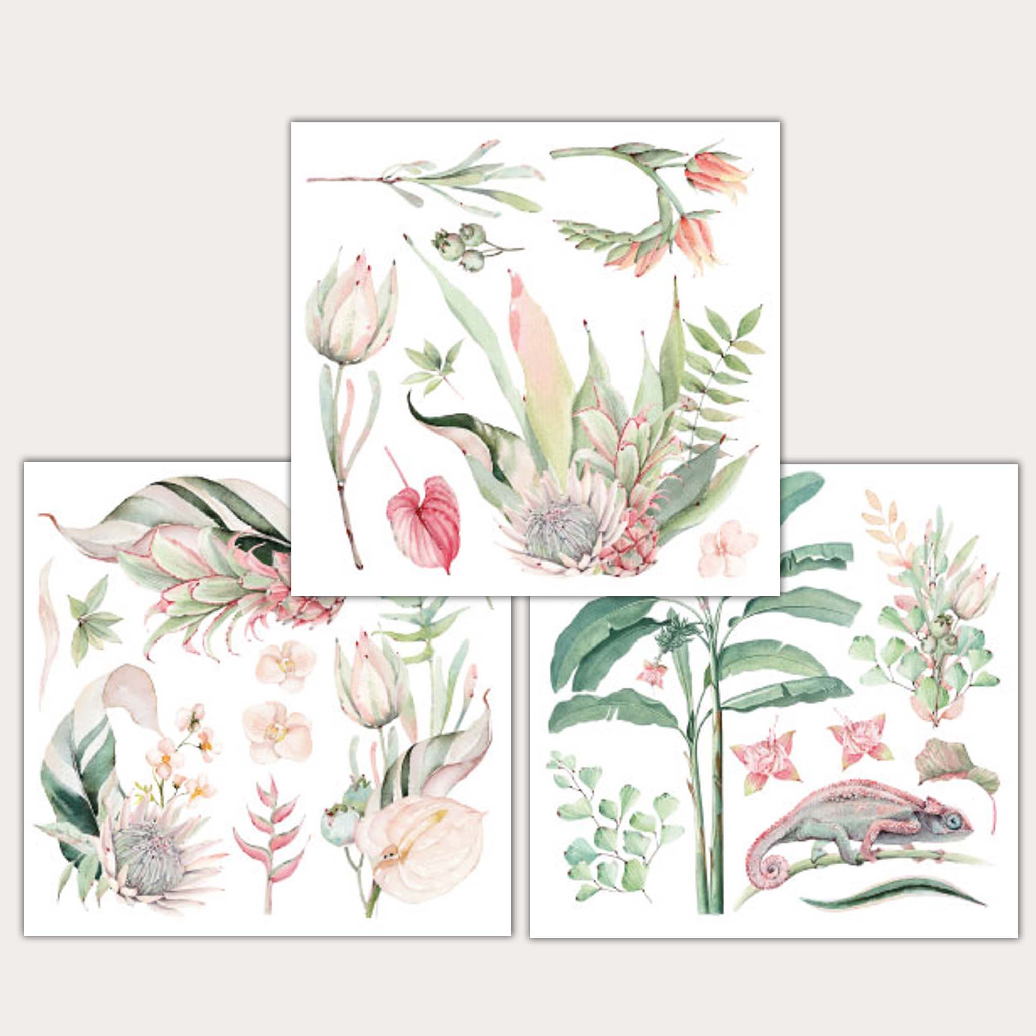 On a light beige background are three 12 x 12 inch sheets of small rub-on transfers featuring lush pink and green tropical foliage and a chameleon. 