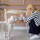 A photo of KACHA and her white pitbull are in front of a vintage console table that features KACHA Khaleesi White furniture paint with gold accents.