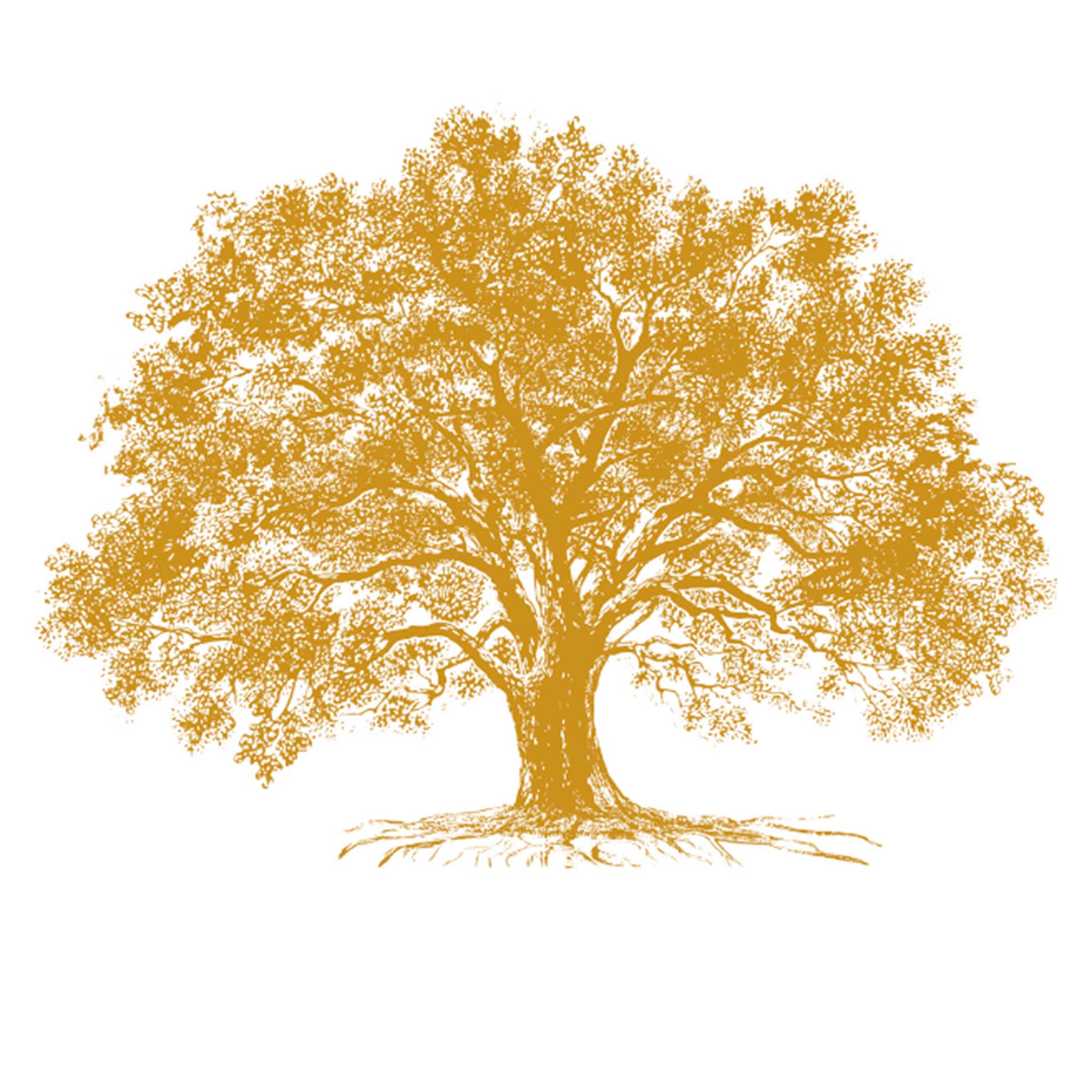 Rub-on transfer of a large full grown tree in gold leaf is against a white background.