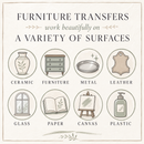 Furniture transfer surfaces chart showing rub-on transfers work on ceramic, furniture, metal, leather, glass, paper, canvas, and plastic