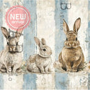 Three rabbits in a row on a textured background with 'B studio' branding.